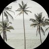 soso_111.8