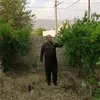 sardarxoshnaw88