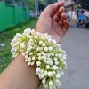 mst.afsana89