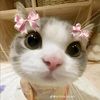 hey48890