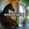 mlodszy_ant3kk