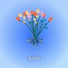 grace_592