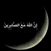 user59459636843663