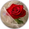 mohamed.amaeara