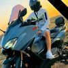 el_galbe