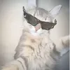 st3ph4nie_v4qu3r.rawnxt