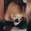 aynaeuz