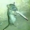 ismaelrojashuaman