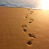 step_by_step037