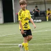 gon_893