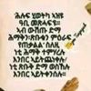 80567323netsi