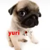 yurxlah