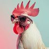 fastchicken