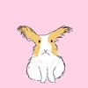 tedybunny6