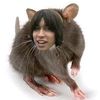liazardiscomingbac