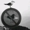neymohammed8