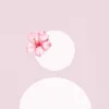 nmel_055
