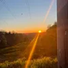 mason_lent