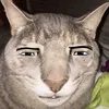 pablorodrigovalim