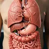 anatomyvideo05