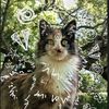 ziggy_girl0