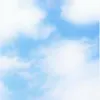 user9285559014718