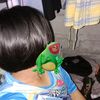 jabe99399393833