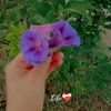 maram.ahmed572