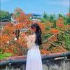 nguyenlan455