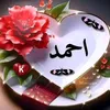 ahmed.atouani5