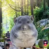 bethao_2k6hihi