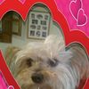 nellie9796