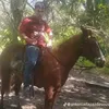 iracema.macedo68