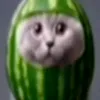 deothichnoinhieu999