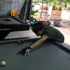 xuanhaotom27