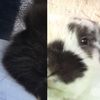 phoeyandmocha