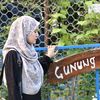 assnie5