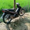 paedgank05