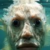 facecookcomments