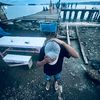 .adit_2005