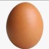 theegg500