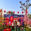 huonglanha2025