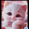 m.ibrahim.8047