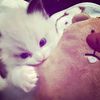 kytts_1708