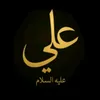 zzll_313