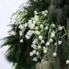 mai.anh5597
