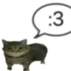 meowachxhk