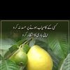 tasneem.thomas
