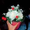 user4481912771060