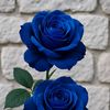safalbk735